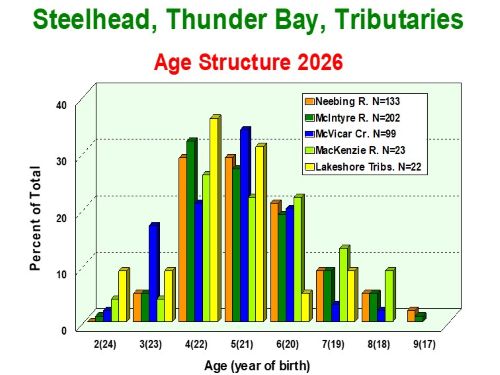 Age Structure Thunder Bay Tribs 2026 resized.jpg